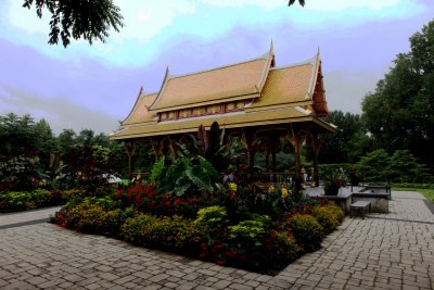 IMG_3469.jpg