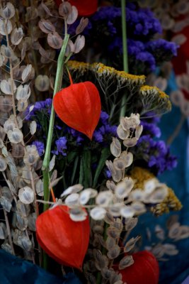 IMG_3686.jpg
