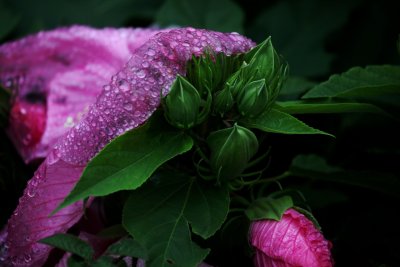 IMG_3820.jpg