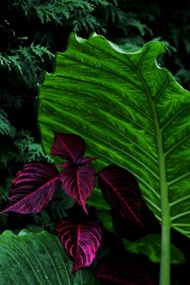 IMG_3843.jpg