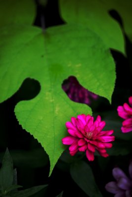 IMG_3851.jpg