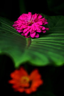 IMG_4095.jpg