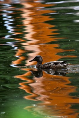 IMG_4121.jpg
