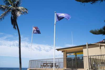 Bilgola Beach 