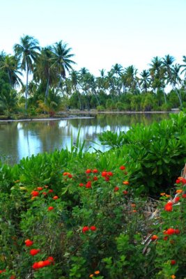 Fanning Island Pond
