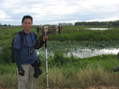 Candaba Wetlands, Central Luzon, Philippines