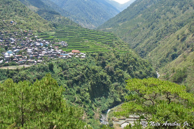 The Famous Rice Terraces of Banaue