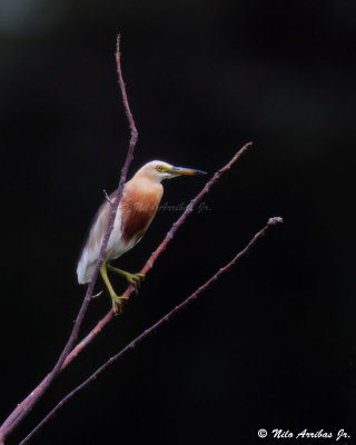 C45G0832--web.jpg