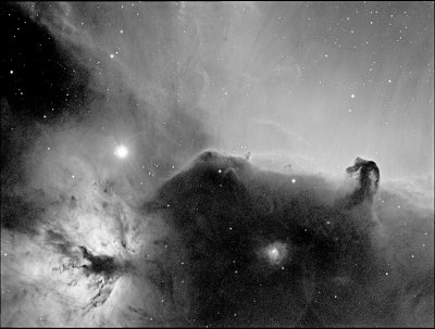 Horsehead Ha 1-14-14 7 subs SD combined .74 DDP ps1 stretched for double reflection.jpg