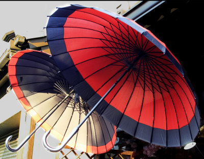 Japanese Umbrellas