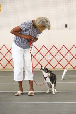 Western Carolina Dog Fanciers