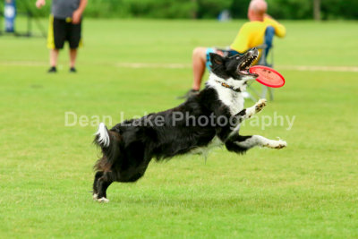 Skyhoundz Catch for a Cure