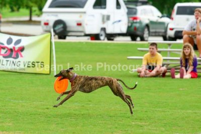 Skyhoundz Catch for a Cure