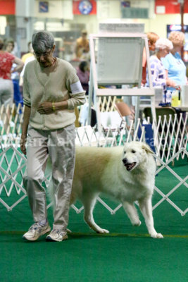 Durham KC Obedience Trial July 2013