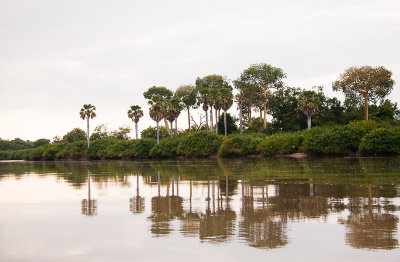 Uitzicht vanaf Rufiji river tijdens boottocht