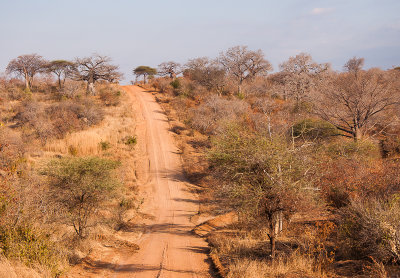 Baobabbos