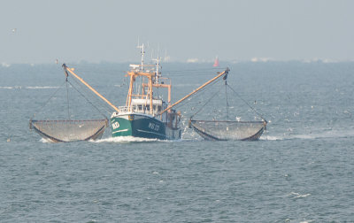 Vissersboot op waddenzee