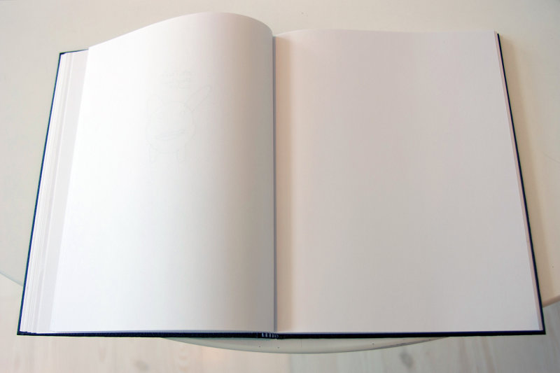 Blank Page