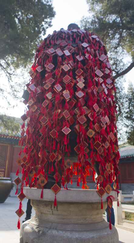 Donations in Behei Park