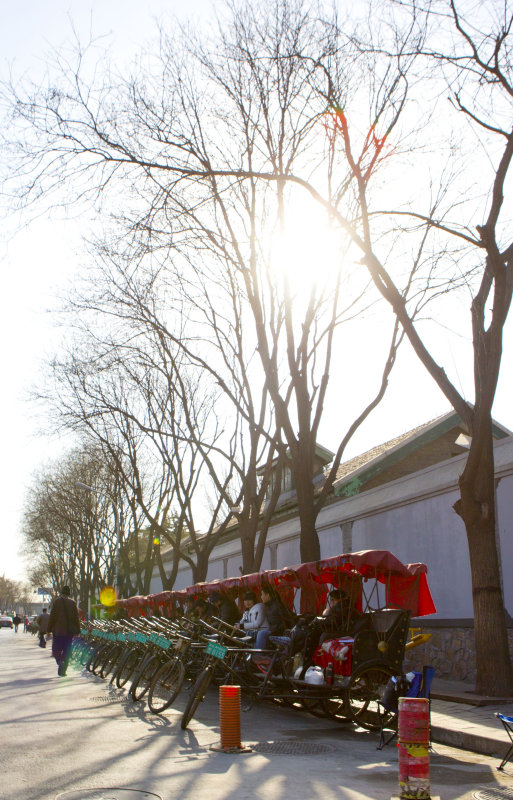 Rickshaw line up