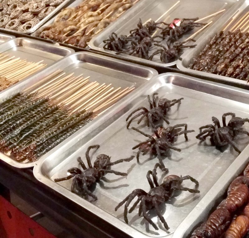Fried Tarantulas and Centipedes