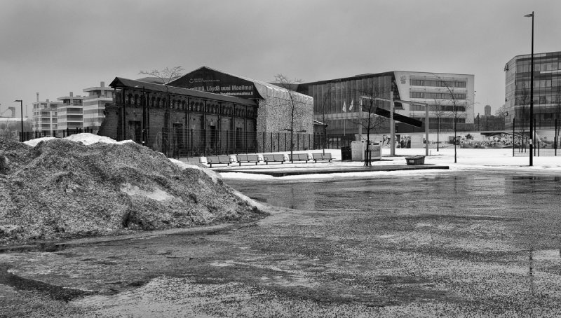 Wintry View