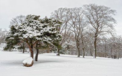 Winter in Brunnsparlen