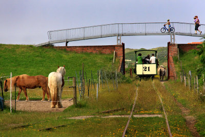 Horse tramway