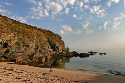 Beach morning