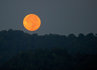 Full Moon, Setting, Osa