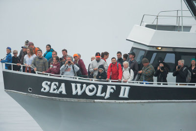 Sea Wolf II