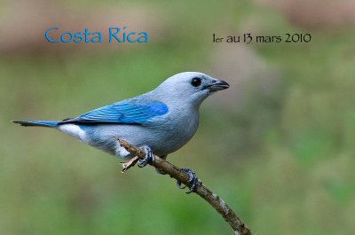 Costa Rica - Mars 2010 / March 2010
