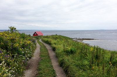Île-aux-Perroquets