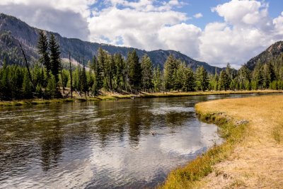  Madison River, Yellowstone National Park