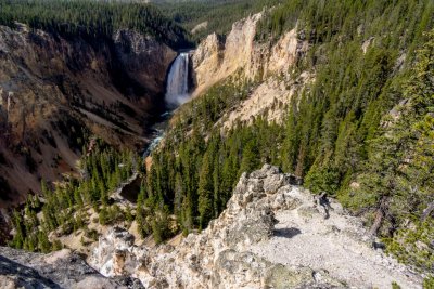  Lower Falls of the Yellowstone River