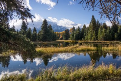  Beaver Pond on the Snake River, Grand Teton NP