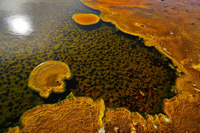 Yellowstone