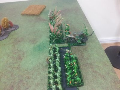 2015-07-10 19.14.21.jpg