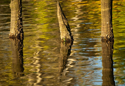 early autumn light 840