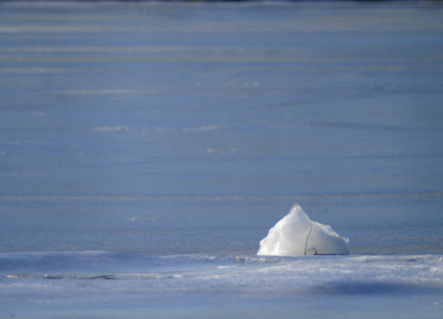 iceberg ahead 734