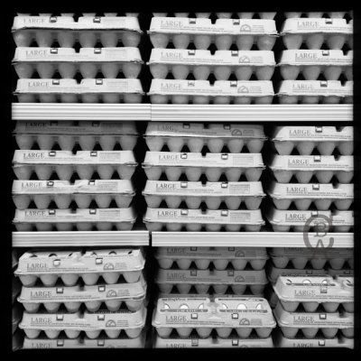 egg cartons