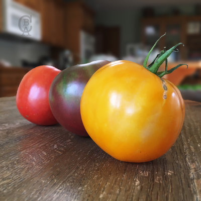 tomatoes