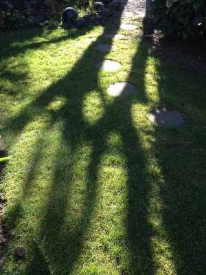 long shadows-IMG_4610.jpg