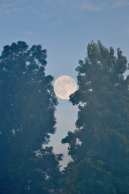 Supermoon at Dawn - Nikon D3100.jpg