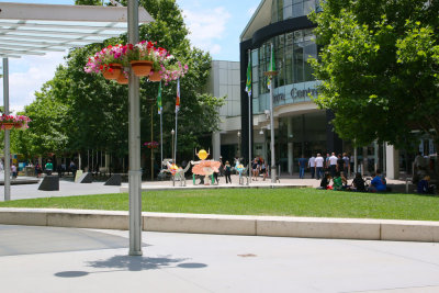 Canberra - City Walk