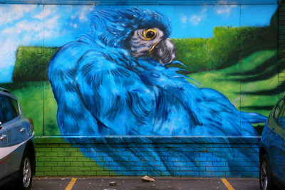 Canberra - Wall Art