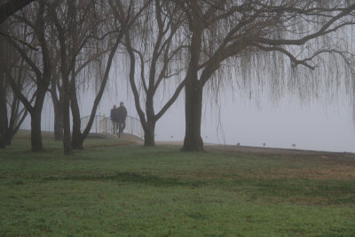 Foggy Figures