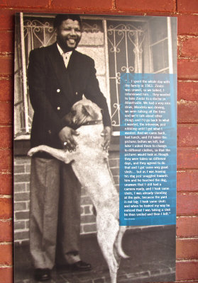 Photograph of Wilson Mandela and his Dog
