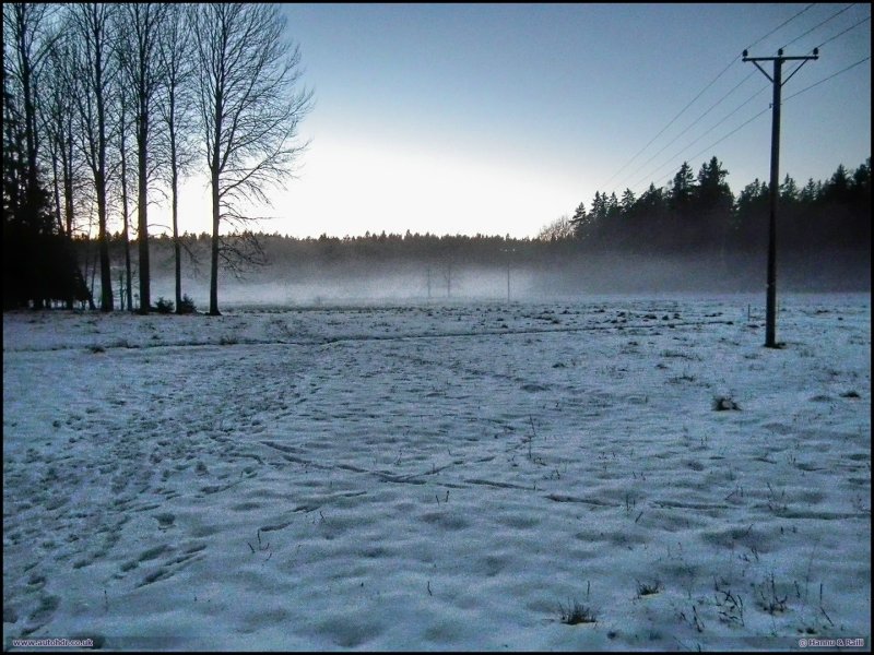 Sn och dimmor vid Granskog Jrflla.jpg
