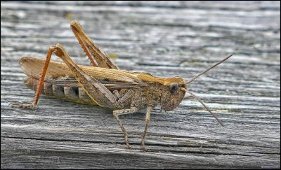 P2420791abc_HDR.JPG